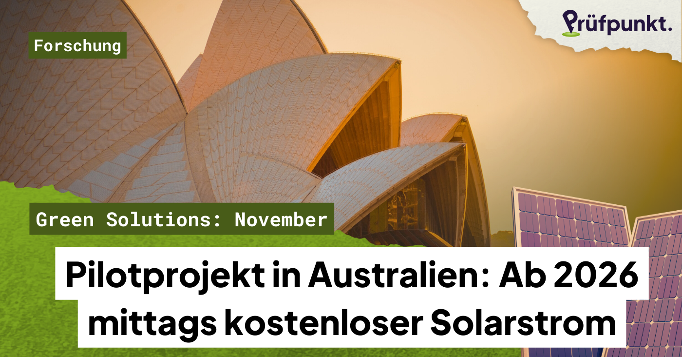 Green Solutions November: Kostenloser Solarstrom in Australien, starker Rückgang der Abholzung im Amazonas
